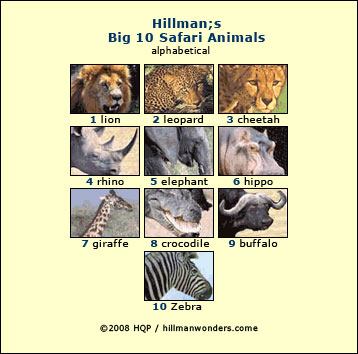 Big 10 safari animal list - By travel authority Howard Hillman