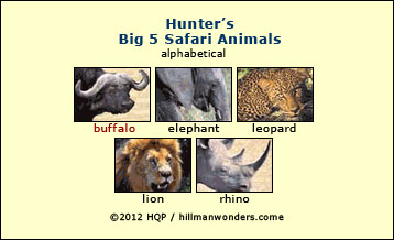 The Big 5 Safari animal list - By authority Howard Hillman