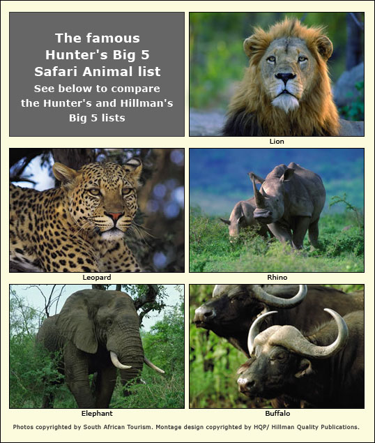 Big 5 Safari Animal Photo Gallery